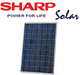 Sharp solar, E, EELE ݁E  EEE photovoltaic-solar pv panel, EEE݁E, E, ENEEE EEEE DE ށE