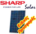 Sharp �������