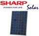 Sharp solar, �������������, ������� ����������, �����������, �������� �������������, photovoltaic-solar pv panel, ������� ���������, ���������, ���������������, ���������������, �����, ���������